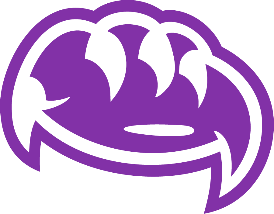 Weber State Wildcats 2008-2012 Secondary Logo v5 diy iron on heat transfer